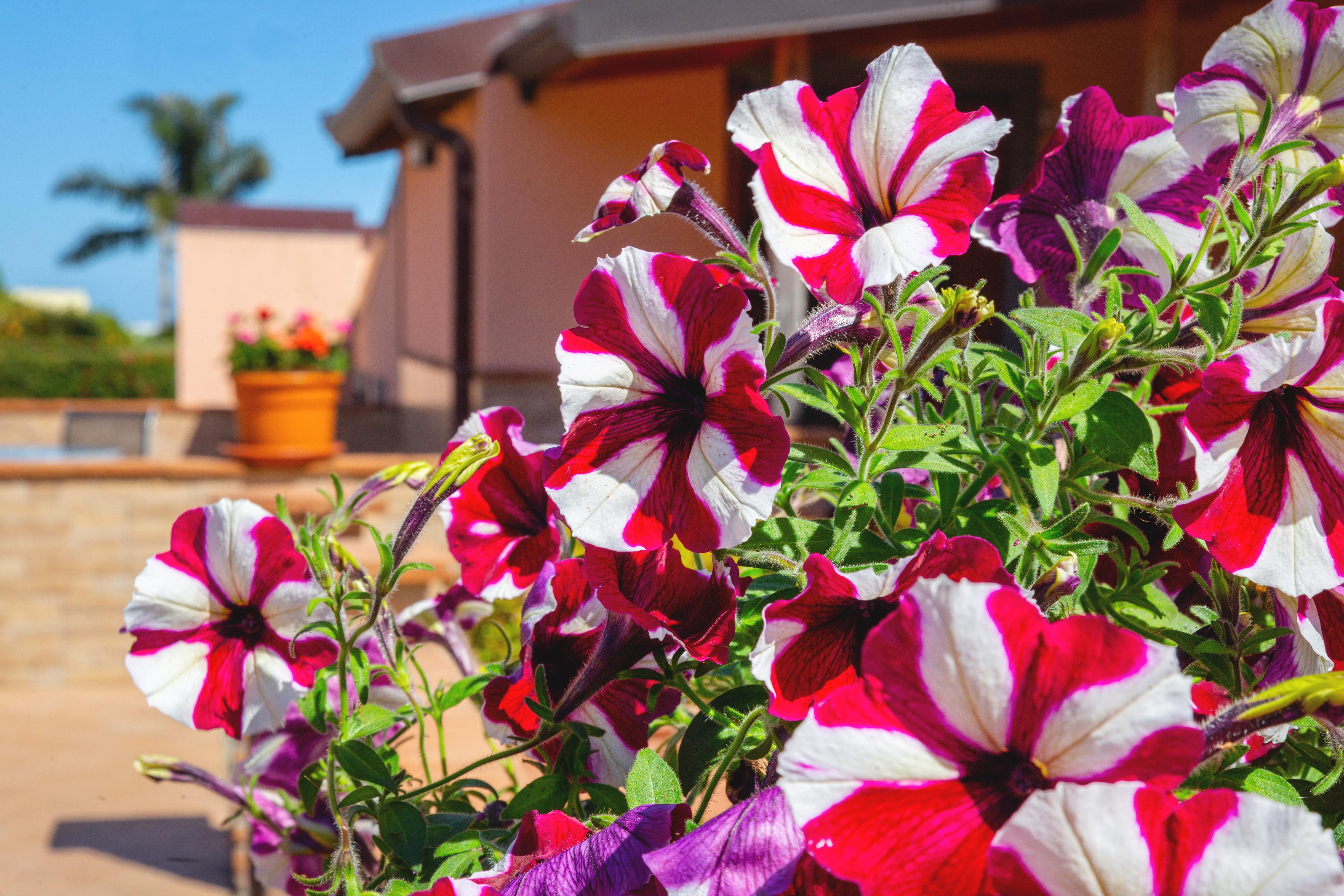 פיומפרדו די סיציליה La Terra Dei Sogni Country Hotel מראה חיצוני תמונה